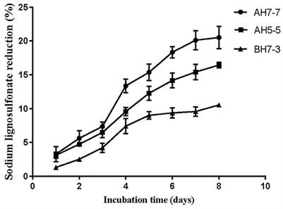 Isolation and identification of ligninolytic bacterium (Bacillus cereus) from buffalo (Bubalus bubalis) rumen and its effects on the fermentation quality, nutrient composition, and bacterial community of rape silage